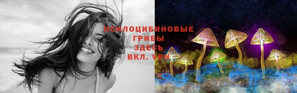 PSILOCYBIN Алексин