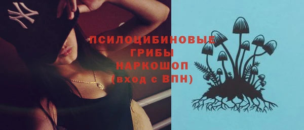 PSILOCYBIN Алексин