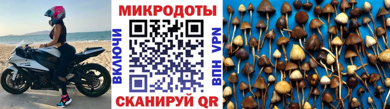 Купить Курск Галлюциногенные грибы мицелий