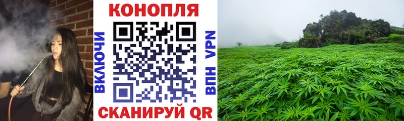 Купить закладки  Курск  Бошки Шишки LSD WEED 